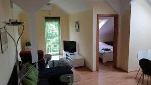 a living room with a couch and a bed and a television at Apartman Vid in Soko Banja