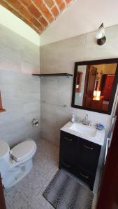 W łazience znajduje się toaleta, umywalka i lustro. w obiekcie La Casita de Fraida w mieście Guadalajara