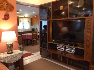 TV a/nebo společenská místnost v ubytování Villa VS