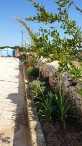 a stone wall with plants next to a sidewalk at Ville Torre del Pizzo in Gallipoli