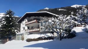 ein schneebedecktes Gebäude mit einem Baum davor in der Unterkunft Haus Silberwang in Sankt Gallenkirch