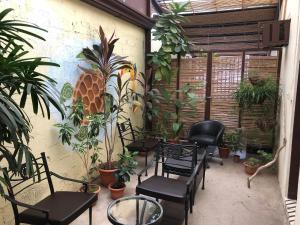 
a living room filled with furniture and plants at Hostel Dodero in Liberia
