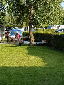 une personne assise dans une chaise sous un arbre dans un parc dans l'établissement Aux Cygnes D'Opale, à Blangy-sur-Bresle