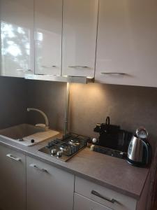 un bancone della cucina con piano cottura e bollitore per il tè di Čiurlionio 83 Druskininkai a Druskininkai Altre 10 foto