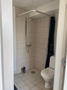 een badkamer met een douche en een toilet bij Den Skaldede Kok Guesthouse in Bindslev