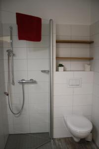 a bathroom with a shower with a toilet and a shower at Landhaus Tipp in Altenmedingen