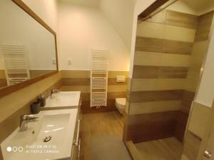 Koupelna v ubytování Apartmány Opolany + 34 fotografií