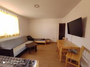 TV a/nebo společenská místnost v ubytování Apartmány Opolany