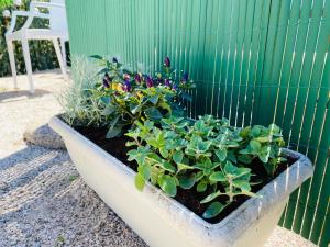 a planter with plants in it next to a fence at The Dream in Massa Lubrense