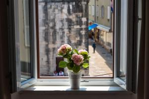 Fotografie z fotogalerie ubytování Luxury rooms Zadar old town v destinaci Zadar