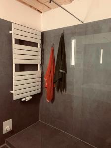 ein Bad mit einer Dusche und einer Glastür in der Unterkunft Wald WG - Haus am Wald in Warmensteinach