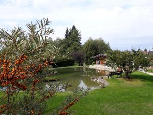 einen Teich in einem Park mit einer Bank im Gras in der Unterkunft Wald WG - Haus am Wald in Warmensteinach