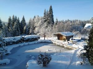 a pond covered in snow next to a cabin at Wald WG - Haus am Wald in Warmensteinach