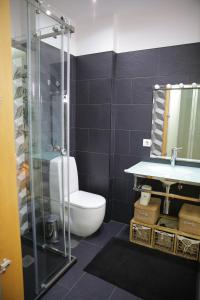 La salle de bains est pourvue d'une douche, de toilettes et d'un lavabo. dans l'établissement Braancamp 65, à Porto