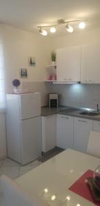 Kuchyň nebo kuchyňský kout v ubytování Apartment Rosana