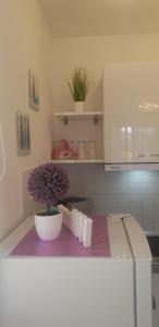Fotografie z fotogalerie ubytování Apartment Rosana v destinaci Rabac
