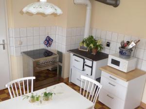 a small kitchen with a table and a stove at Schmidts Naturhof in Laaslich