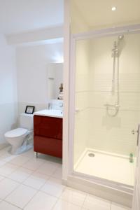 a bathroom with a shower and a toilet at Le 3 Rue Grande in Moret-sur-Loing