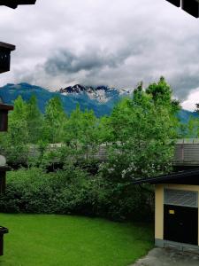 a view of a snow covered mountain from a yard at Apartment Angelika in Zell am See