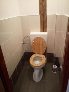 bagno con servizi igienici e sedile in legno di Černá Kočka- Low cost ubytování a Svijanský Újezd