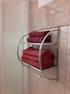 - Baño con toallero eléctrico y toallas rojas en Penzion Fontána, en Mikulov