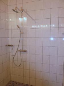 ビアースドルフにあるLandhaus 955 - Keine Haustiereの浴室のシャワーヘッド付きシャワー