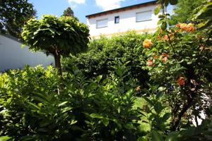 a group of trees and bushes with a building in the background at DAS Landhaus Klambauer - Apartmenthaus Thermennähe St Martins Therme in Frauenkirchen