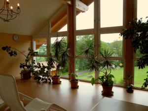 Zahrada ubytování Gästeappartements Sonnenland