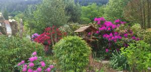 un jardin avec des fleurs roses et un kiosque dans l'établissement Gîtes Les Grandes Voies - Clé Vacances, à Le Ménil