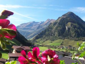 a view of a mountain valley with pink flowers at Frühstücks- Pension Sonnblickhof in Rauris