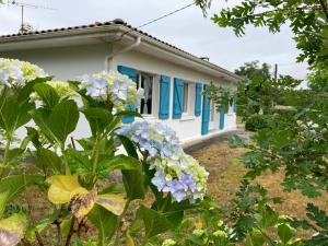 a house with blue windows and flowers in the yard at Maison Nathalie Mimizan in Mimizan
