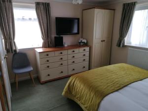 a bedroom with a bed and a dresser with a television at Blue Waters Lodge in Paignton