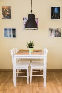 哈普薩盧的住宿－Põllupesa，白色餐桌、白色椅子和盆栽植物