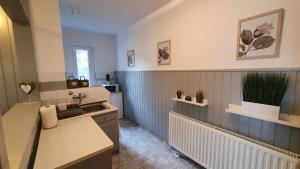 a small kitchen with a sink and a sink at Ilike Home in Balatonfüred +15 photos