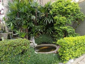 a garden with a toilet in the middle of some bushes at Xin Yuan Motel in Taichung