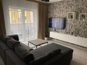 Televízia a/alebo spoločenská miestnosť v ubytovaní Apartmán Champion