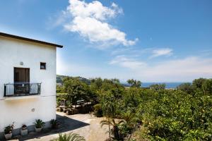 Naturlandskabet i nærheden af lejligheden