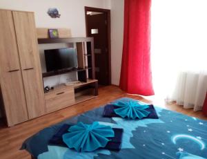 TV a/nebo společenská místnost v ubytování Casa Varipatti