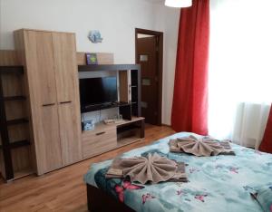 TV a/nebo společenská místnost v ubytování Casa Varipatti
