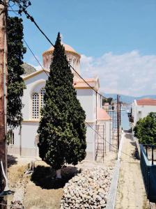 a christmas tree in front of a white building at Paradisos Kastellorizou in Meyisti