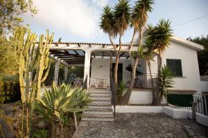 a white house with palm trees in front of it at Villa Nadia con splendida vista mare in Castellammare del Golfo