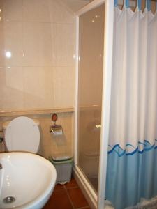 a bathroom with a shower and a toilet and a sink at Pensión Moni Albayzin in Granada