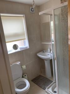 a small bathroom with a toilet and a sink at Lakelands in Seagoe