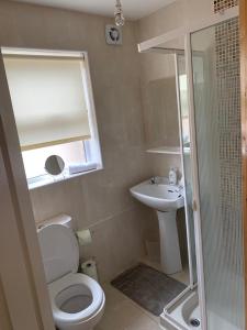a small bathroom with a toilet and a sink at Lakelands in Seagoe +17 photos