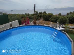 Panayía的住宿－Thalassa，一个带椅子的大型蓝色游泳池