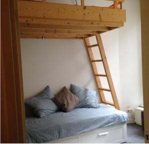 a bedroom with a bunk bed with a ladder at Marijke's guestroom in Amsterdam