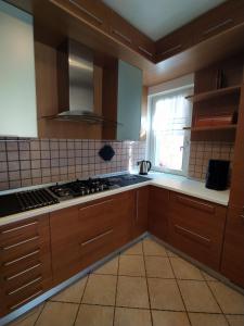 Cuina o zona de cuina de Villa Antopolis