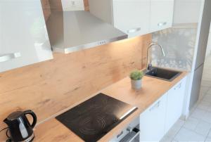 a kitchen with a sink and a stove top oven at Apartments Riba in Vis