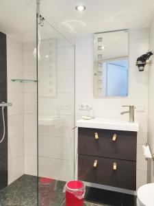 a bathroom with a shower and a sink and a mirror at Fremdenzimmer - Petit Quartier in Merenberg