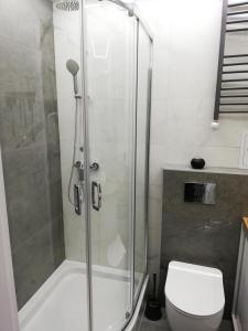 łazienka z prysznicem i toaletą w obiekcie Apartament pod Szóstką w mieście Duszniki Zdrój